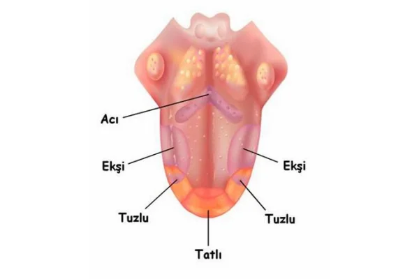 Reasons for Not Tasting E-Liquids?