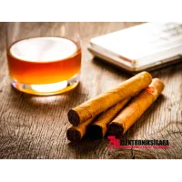 Mixology E-Liquid Flavor Cohiba 10ml