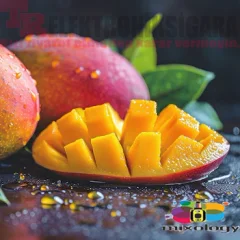 Mixology E-Liquid Flavor Cushman 10ml