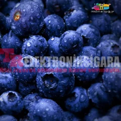 Mixology E-Liquid Flavor Vozol Taste Series Blueberry Storm 10ml
