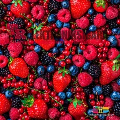 Mixology E-Liquid Flavor Vozol Taste Series Forest Berry Storm 10ml